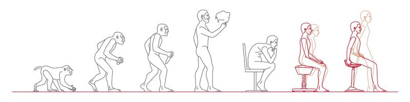 Evolution des Homo Sedens