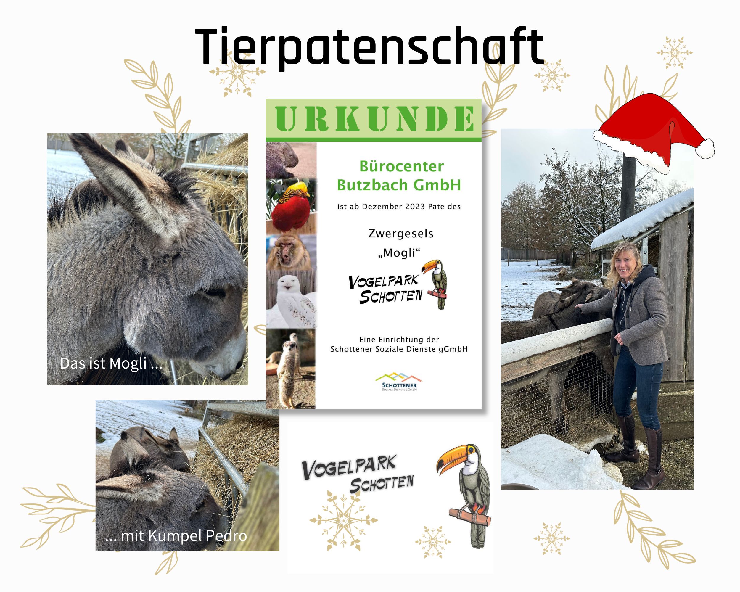 Weihnachtsgruß mit den besten Wünschen